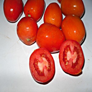 tomatoes