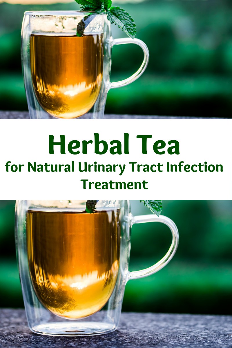 herbal tea for natural urinary tract infection treatment