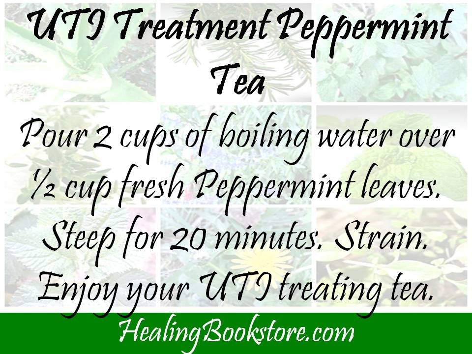 Herbal Remedies for Natural Urinary Tract Infection Treatment Healing Bookstore