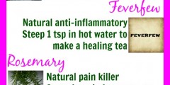 natural arthritis treatment